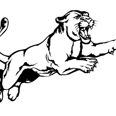 Cougar